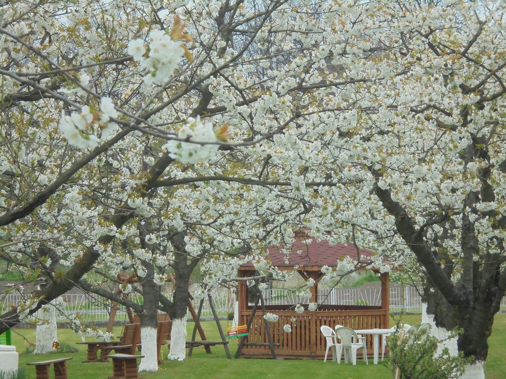 Agroturystyka Krysia Pilszcz Exteriér fotografie