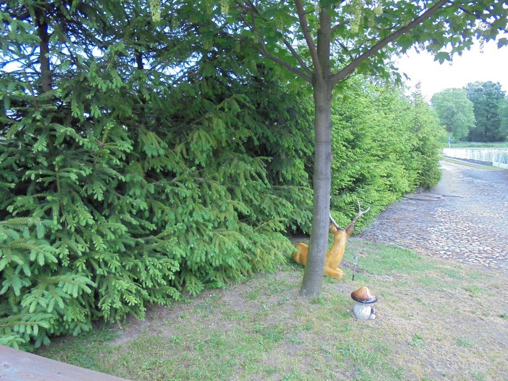 Agroturystyka Krysia Pilszcz Exteriér fotografie